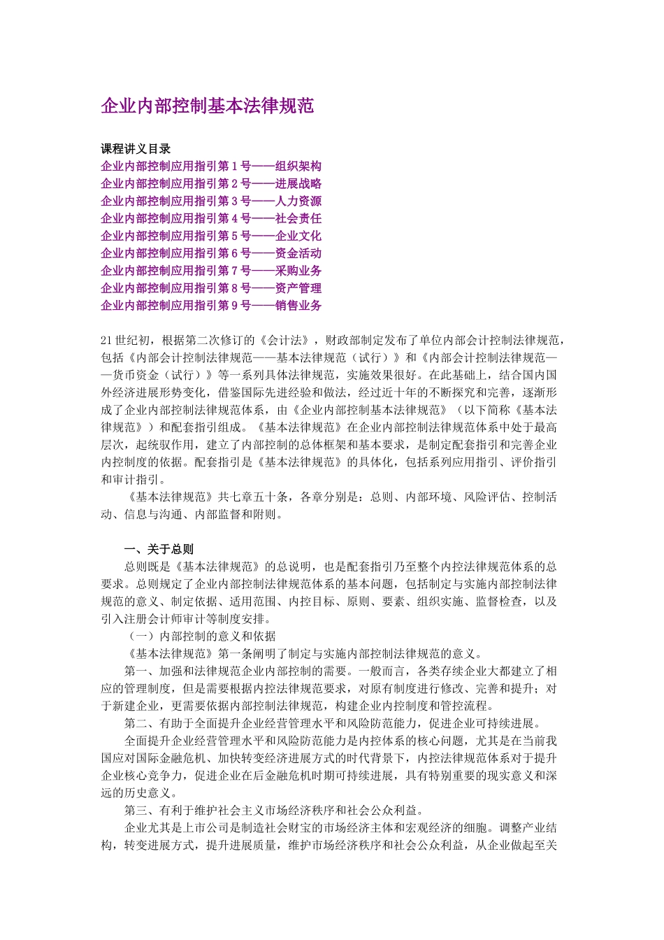 XXXX年会计继续教育《新企业内部控制基本规范》讲义_第1页