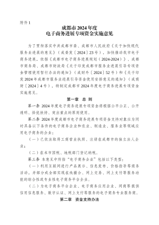 XXXX年成都市电子商务发展资金拟支持方向