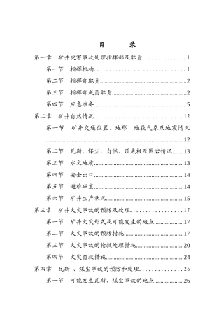 XXXX年矿井灾害预防处理计划