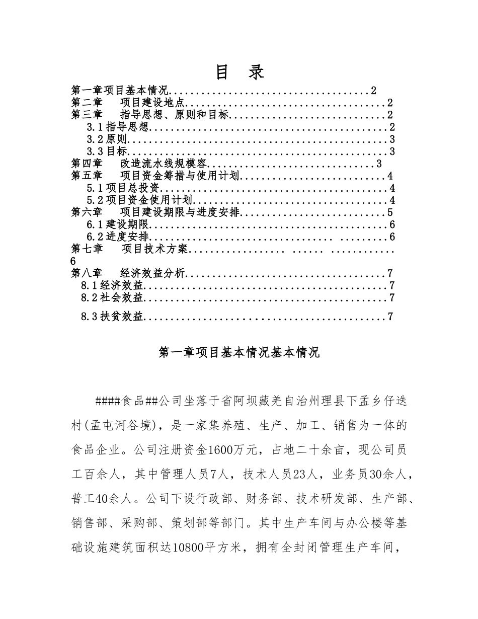 xxx生产流水线技改项目实施计划方案_第2页