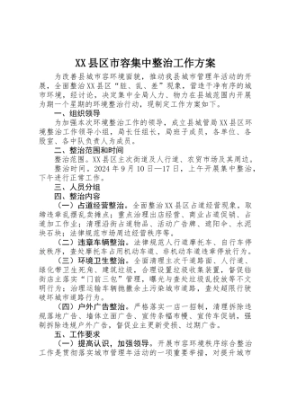 XX县区市容集中整治工作方案