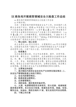 XX商务局开展商贸领域安全大检查工作总结