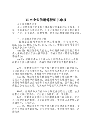 XX市企业信用等级证书申报