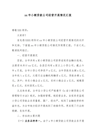 XX市小额贷款公司经营发展情况汇报
