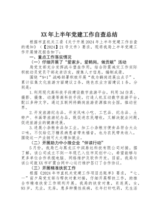 XX年上半年党建工作自查总结