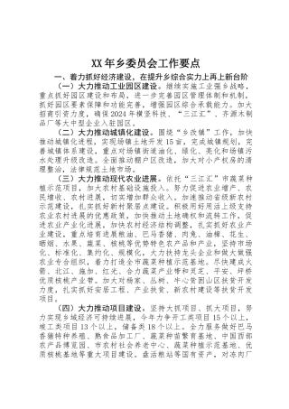 XX年乡委员会工作要点