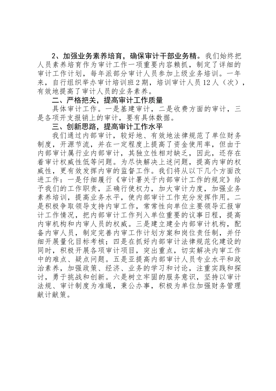 XX年内部审计工作总结_第2页