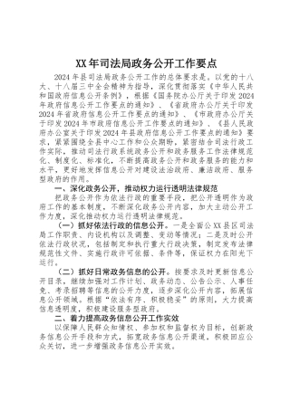 XX年司法局政务公开工作要点