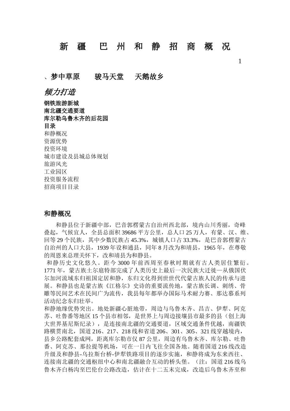 XX年和静县项目册_第1页