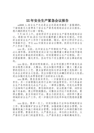 XX年安全生产紧急会议报告