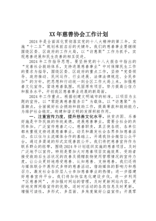 XX年慈善协会工作计划