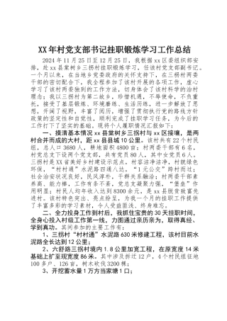 XX年村党支部书记挂职锻炼学习工作总结