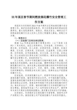 XX年某区春节期间燃放烟花爆竹安全管理工作方案