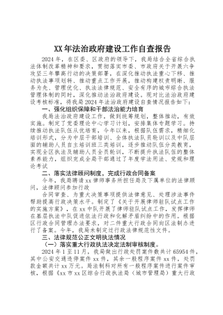 XX年法治政府建设工作自查报告 