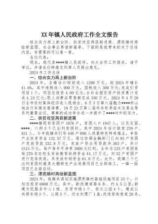 XX年镇人民政府工作全文报告