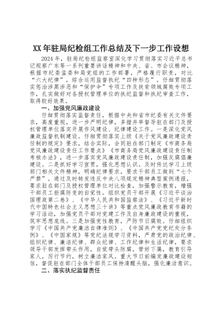 XX年驻局纪检组工作总结及下一步工作设想