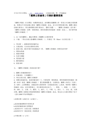 xx彩绘漆营销计划书提案