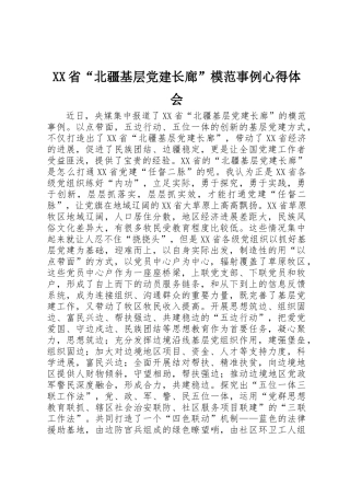 XX省“北疆基层党建长廊”模范事例心得体会