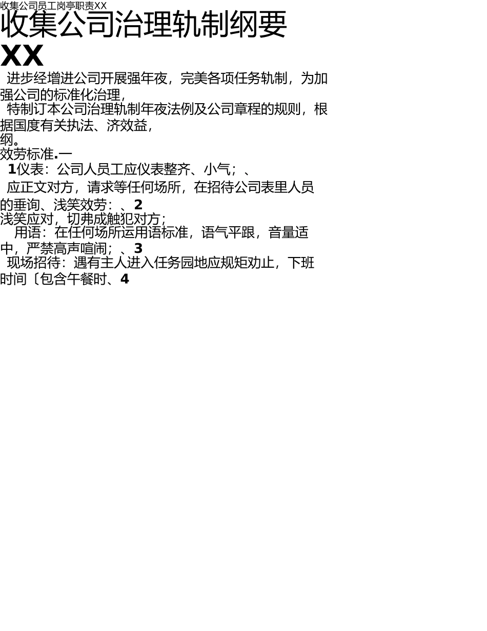 XX网络公司规章制度_第1页