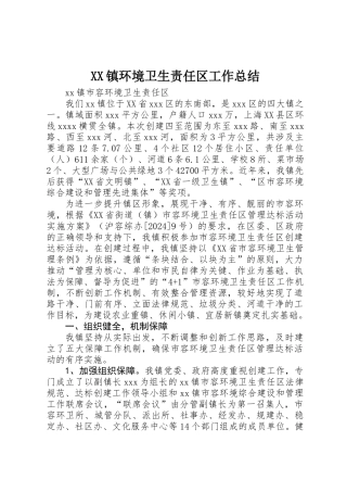 XX镇环境卫生责任区工作总结