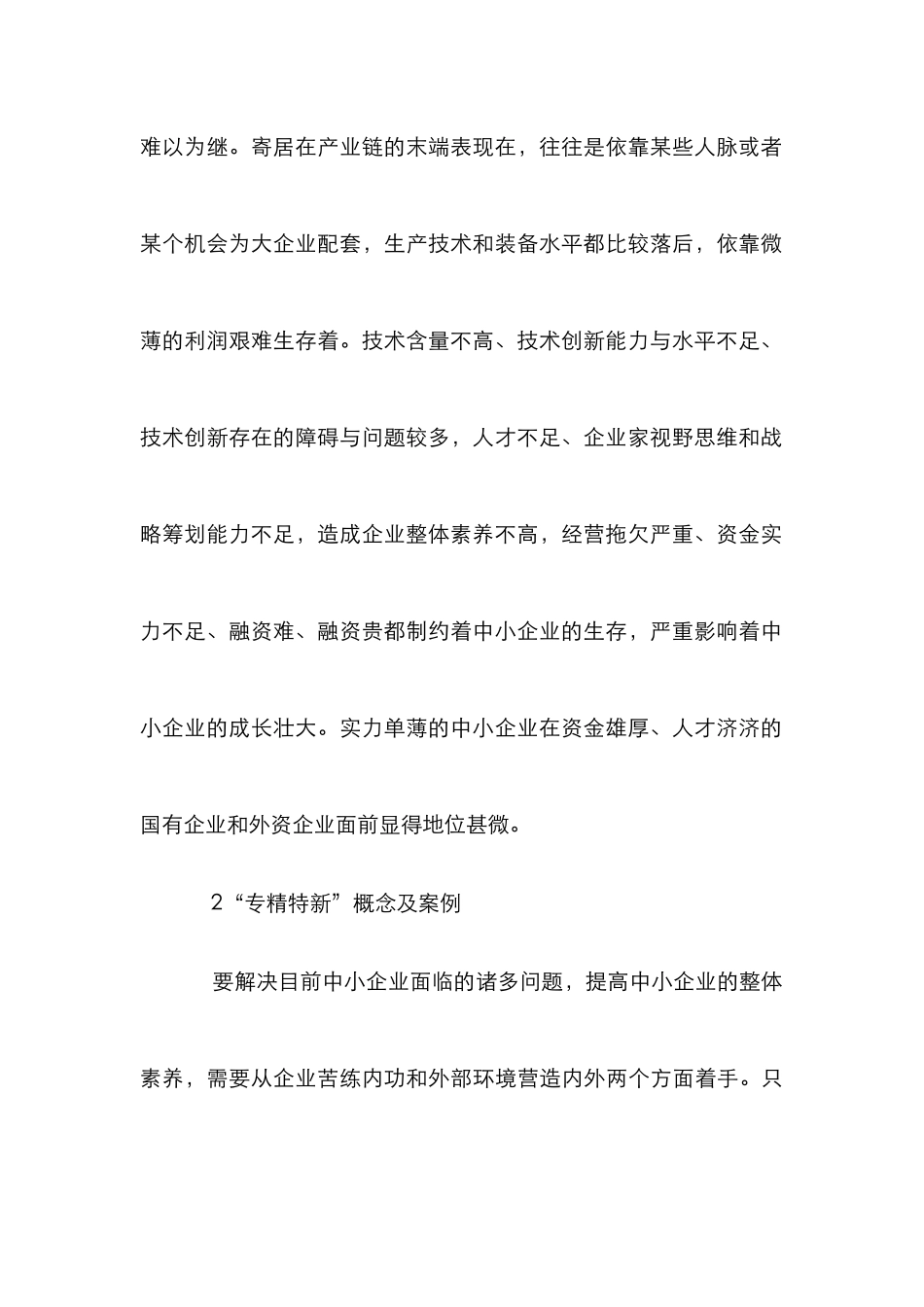 “专精特新”经营模式分析_第2页