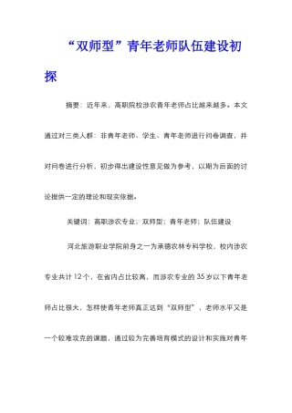 “双师型”青年教师队伍建设初探