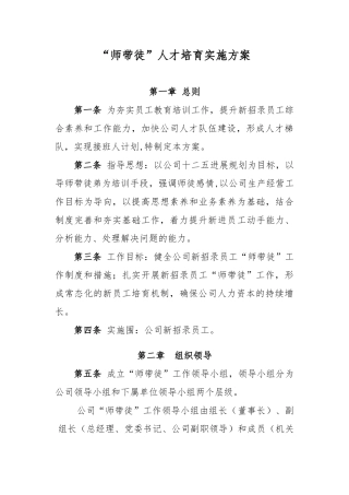 “师带徒”人才培养实施办法