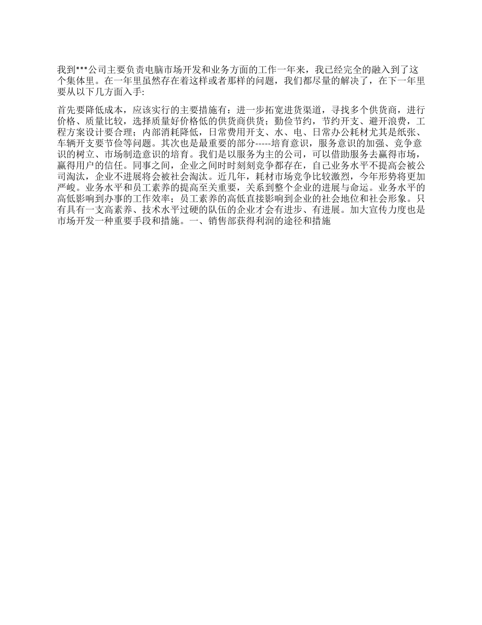 “电脑销售计划个人工作计划_第1页