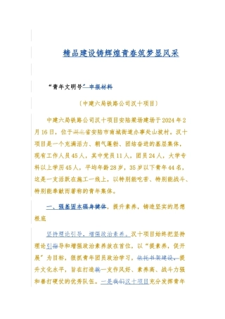 ”青年文明号“申报材料
