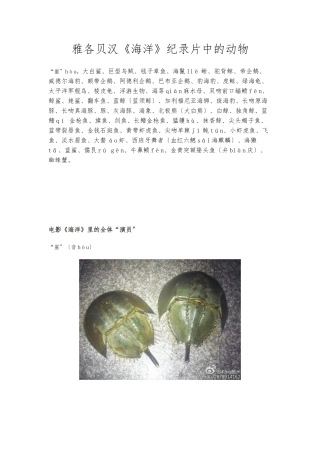 《海洋》雅各贝汉-纪录片中的动物