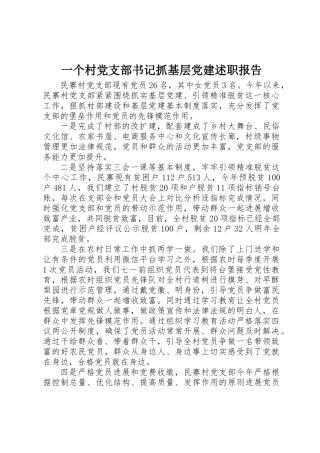 一个村党支部书记抓基层党建述职报告