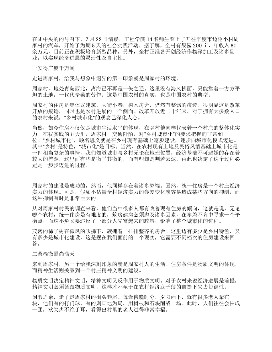 一片晴朗的天空——暑期社会实践报告_第1页