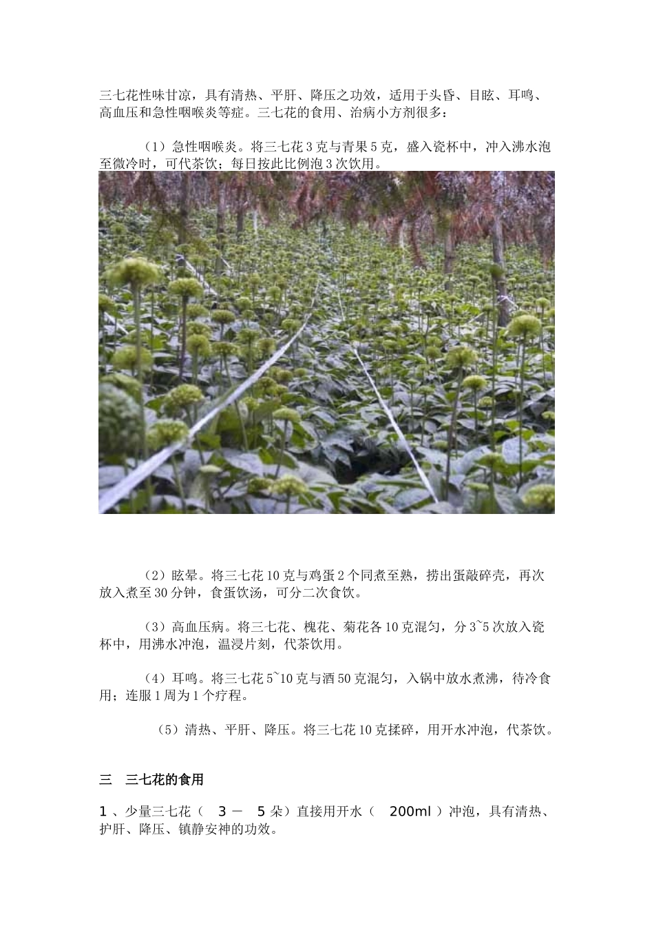 三七花的药用与食用_第3页