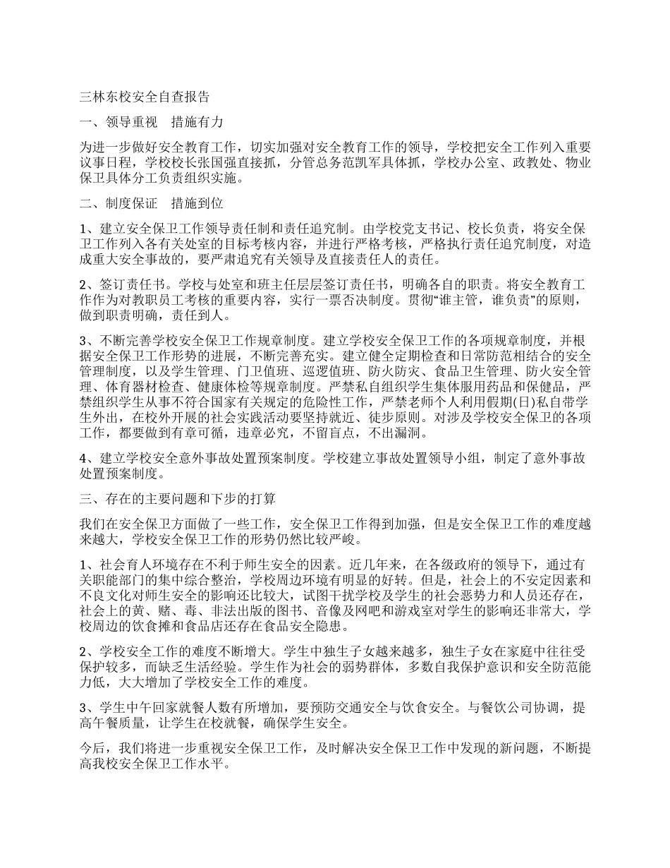 三林东校安全自查报告_第1页