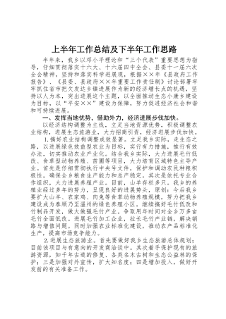上半年工作总结及下半年工作思路