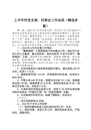 上半年村党支部、村委会工作总结