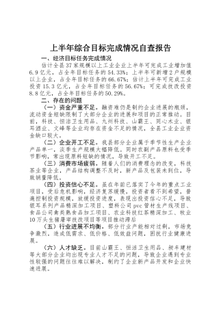 上半年综合目标完成情况自查报告