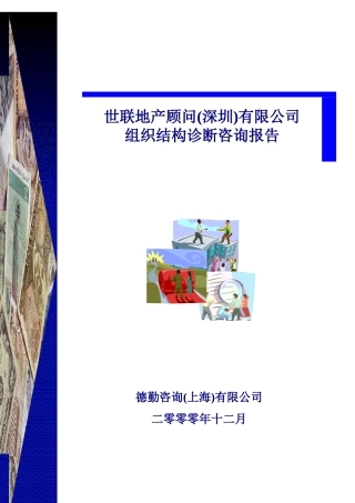 世联地产顾问有限公司组织结构诊断咨询报告