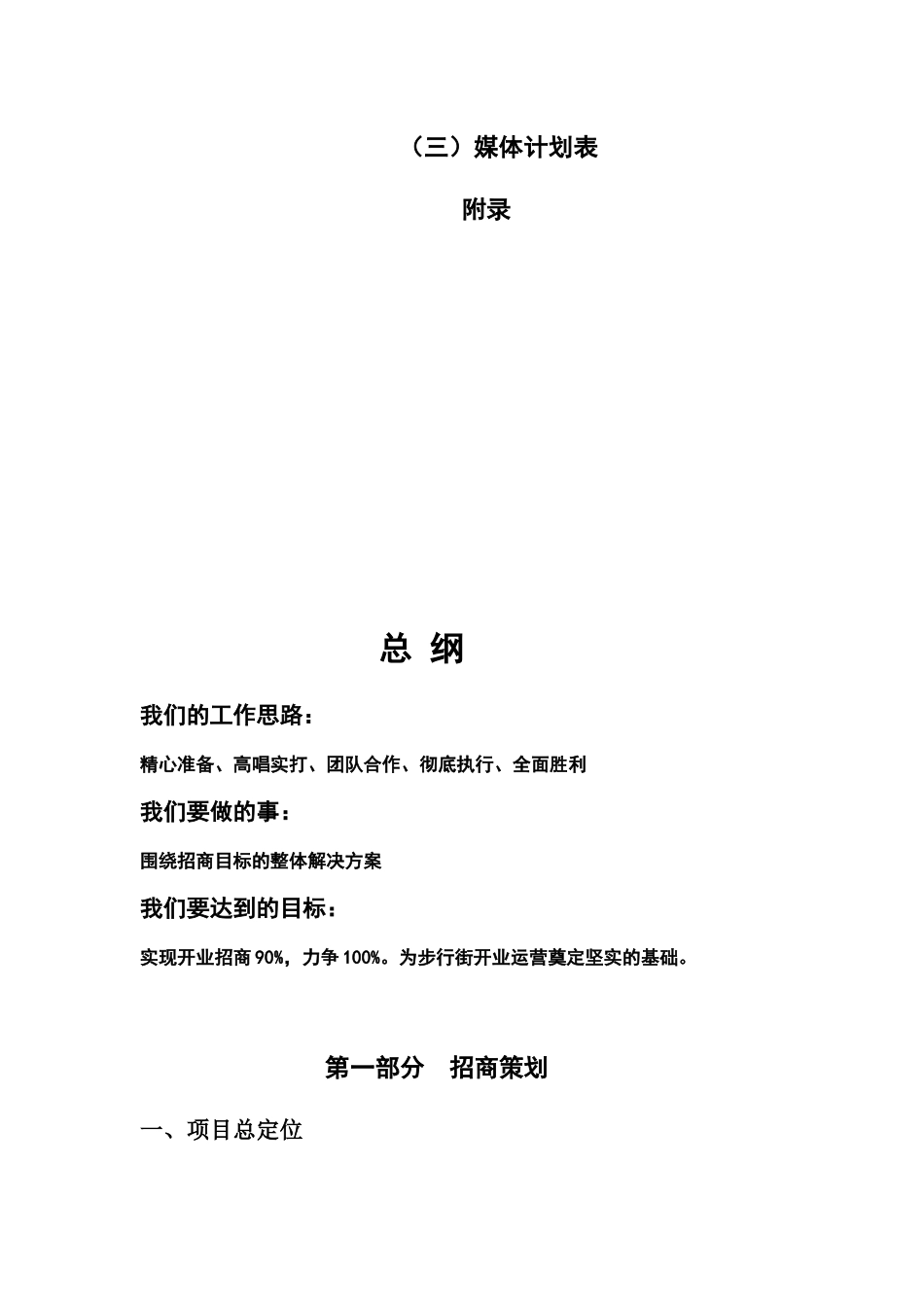 东盛步行街招商计划书_第3页