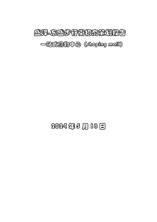东盛步行街招商计划书
