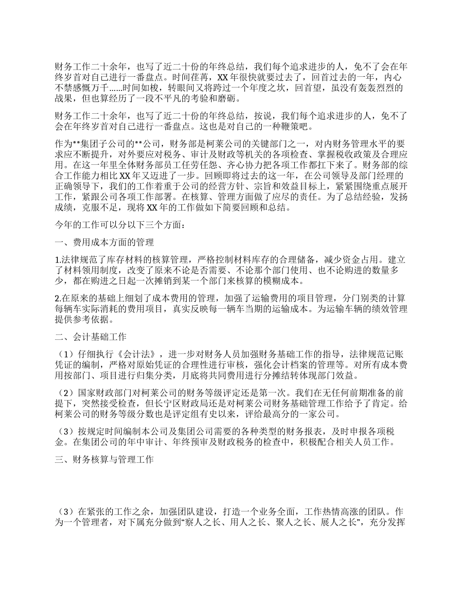 个人年终工作总结(公司财务)_第1页