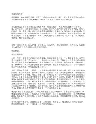 个人社会实践总结