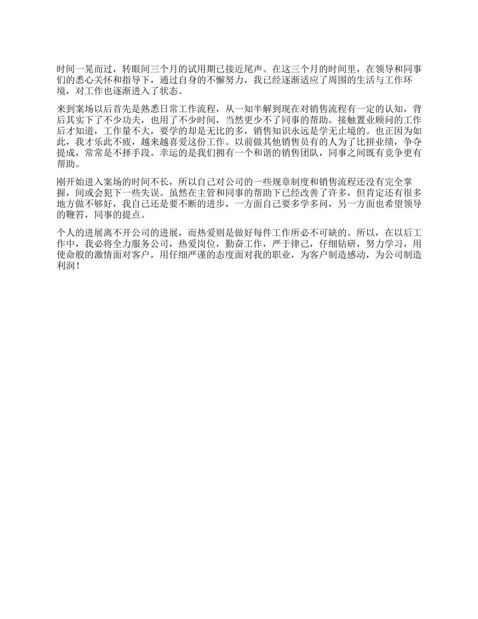 个人试用期工作总结_第1页