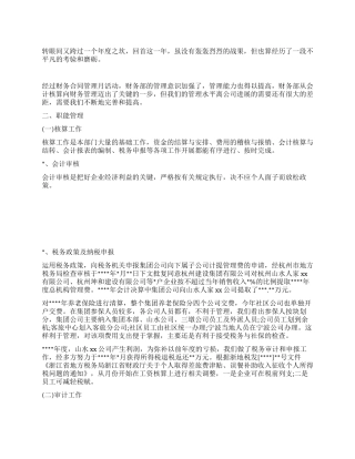 个人财务年终工作总结