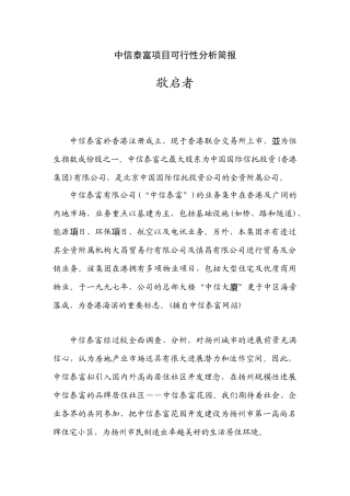 中信泰富项目可行性分析简报