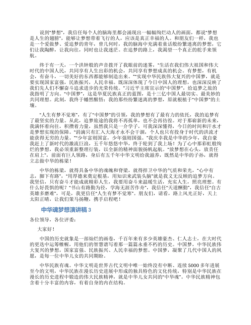 中华魂梦想演讲稿_第2页