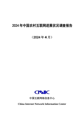 中国农村互联网发展状况调查报1