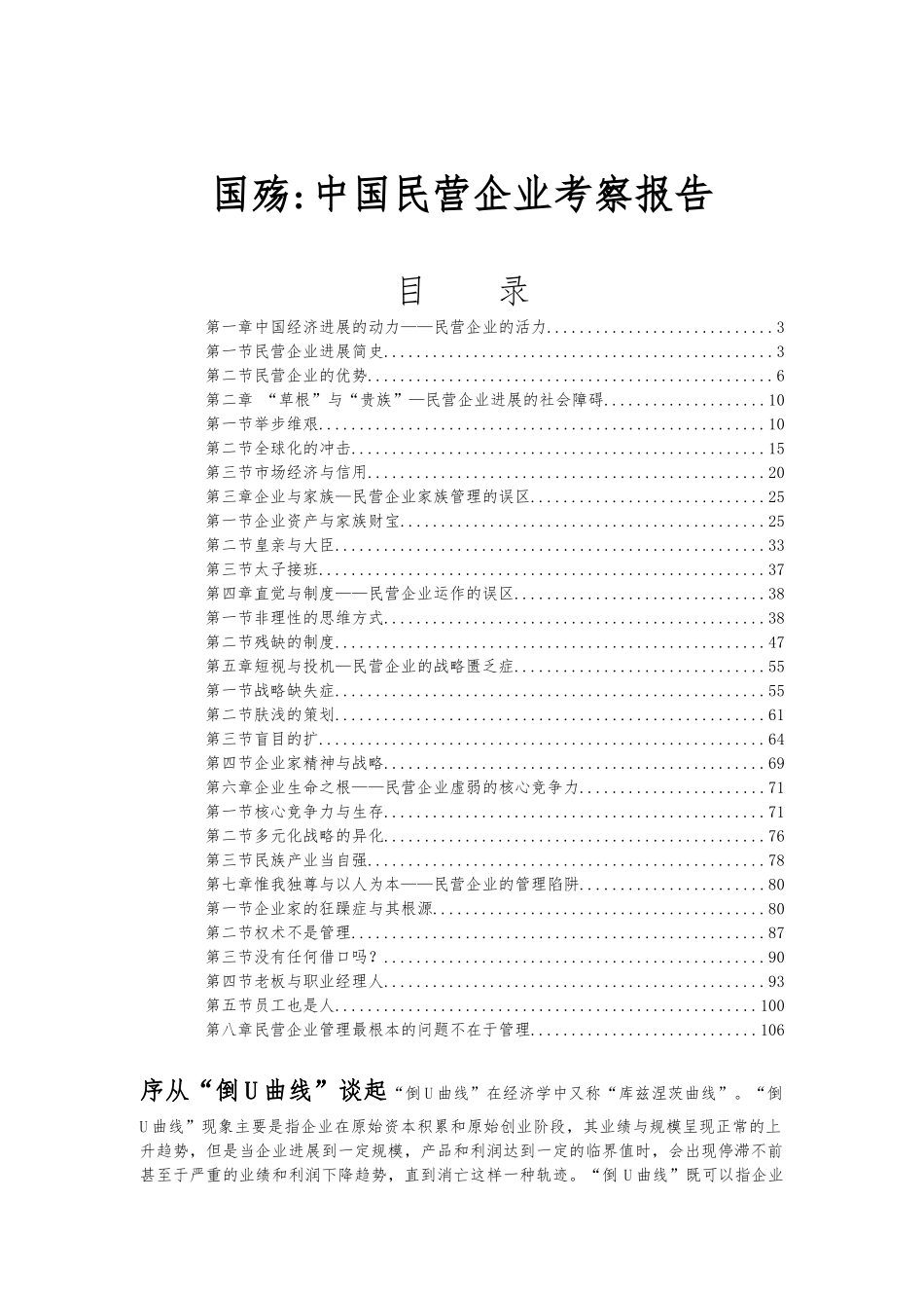 中国民营企业考察报告_第1页
