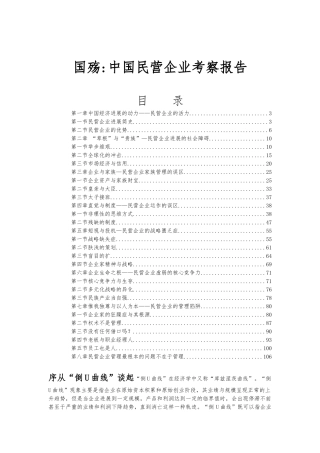 中国民营企业考察报告