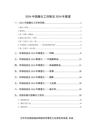 中国煤化工XXXX年总结及XXXX展望